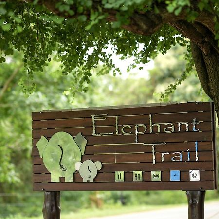 Elephant Trail Udawalawe Buitenkant foto