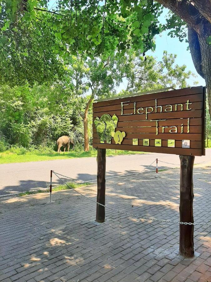 Elephant Trail Udawalawe Buitenkant foto