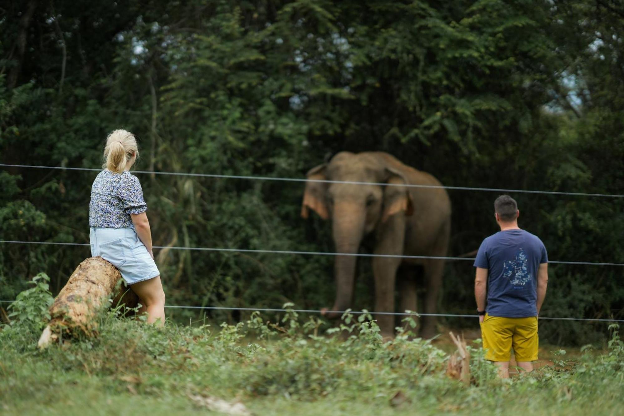Elephant Trail Udawalawe Buitenkant foto