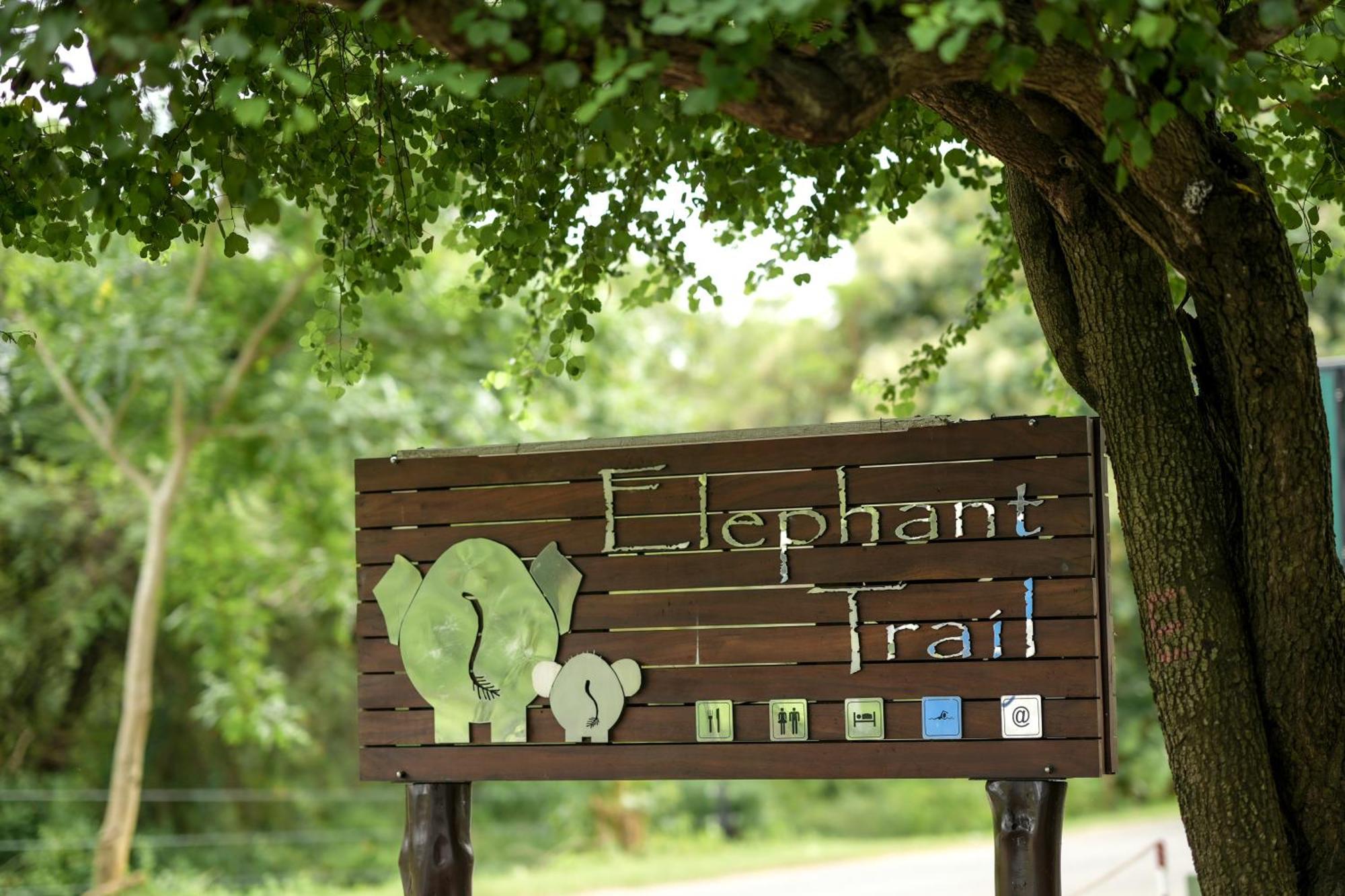 Elephant Trail Udawalawe Buitenkant foto